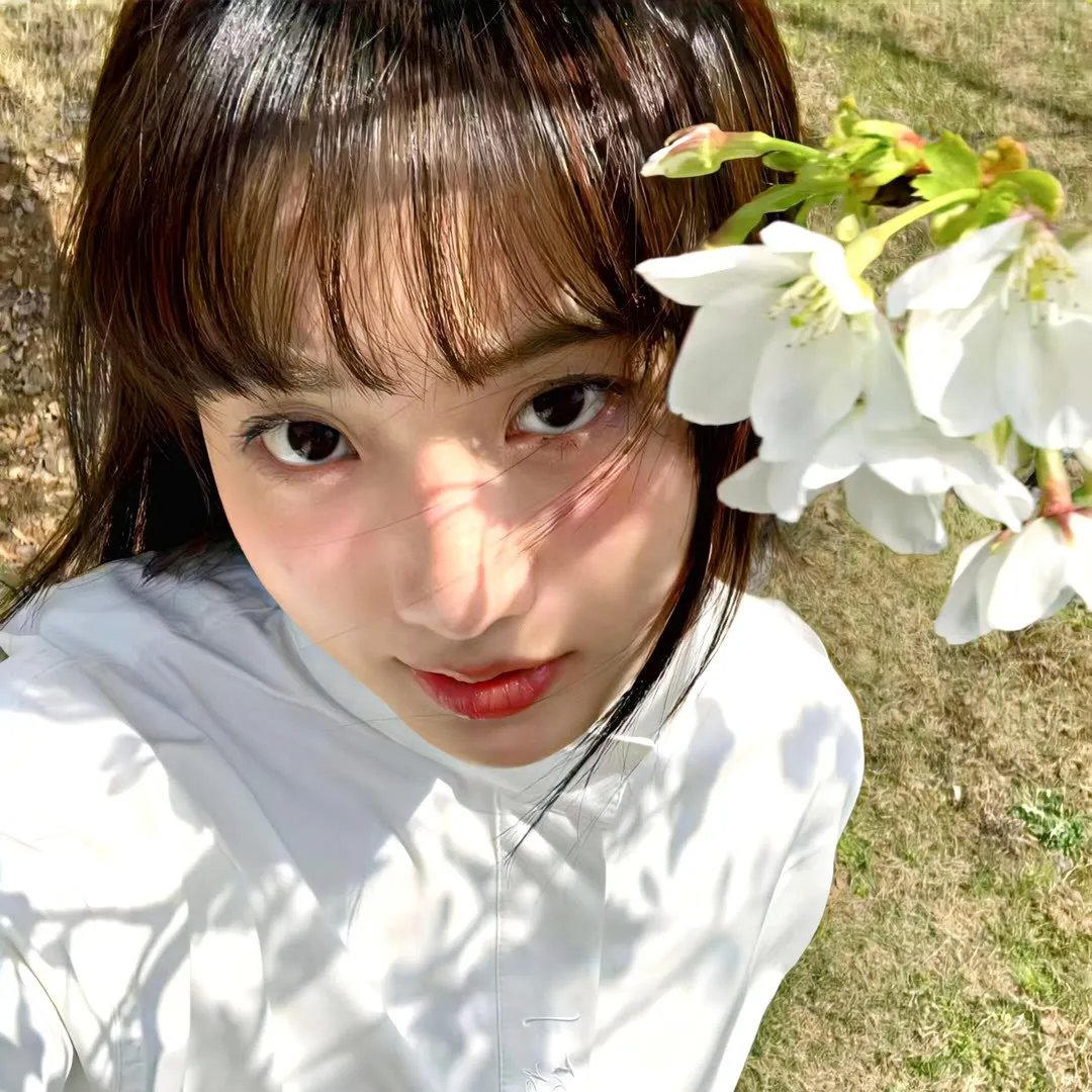 松林外
